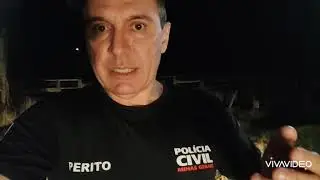 Pol&iacute;cia recupera em Biquinhas gado furtado em Concei&ccedil;&atilde;o do Par&aacute;.