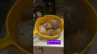Способ приготовления ракушки Spisula Psedocardium sachalinensis