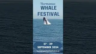 Hermanus Whale Festival 2024