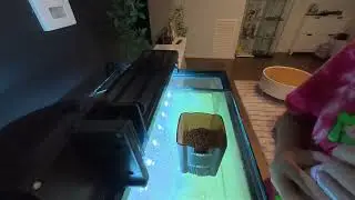 Fish Aquarium Auto Feeder