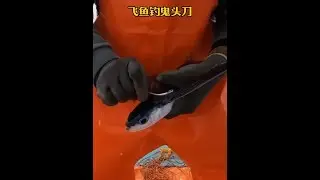 戶外釣魚：漁民在大海中遇到非常罕見的鬼頭刀魚群！ #釣魚 #戶外 #原來釣魚才是抖音運動頂流