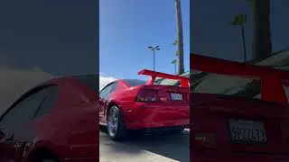Legendary Ford Mustang SVT Cobra R