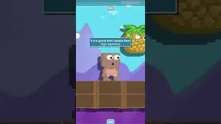 Pineapple Guardian Rising | Growtopia - Invest