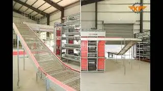 See It Up Close: Automatic H-Layer System + Key Equipment Demo#kangfamachinery #modernfarming