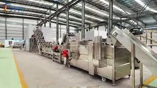 100kg/h Frozen French Fries Production Line | Complete Factory Video