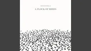 A Flock Of Birds part nine