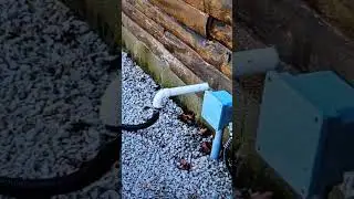 Where Should Sump Pump Water Go? #sumppump #sump #timcarter #diyplumbinghelp