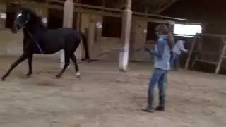 Hubbert's Peak at lunge.