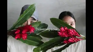 delivering love - Small Circle of Friends pres studio75  (A Day With. 10)  official