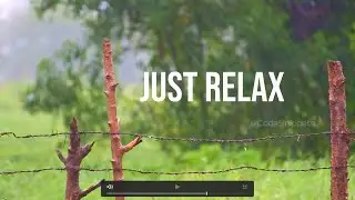 Just Relax | Stress Free Music and Relaxation