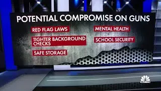 U.S. Congress seeks compromise, even as Canada's PM proposes handgun freeze