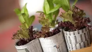 Recycling Project by Robert | Kin Community