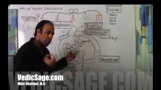 Ayurveda Made Easy! ... Management of Kapha