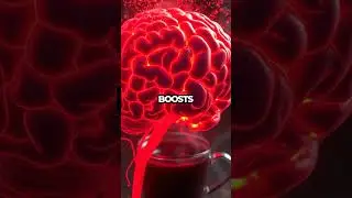 Boost Your Brain Power with Chocolate! 🍫 #Shorts