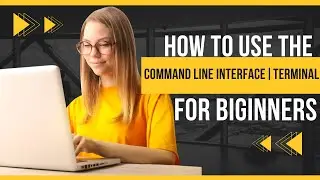 How to use the Command Line Interface | Terminal Basics for Beginners (Tutorial)