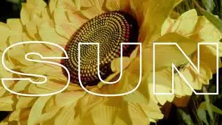 Shane Eagle &ndash; Sun