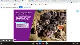 October 21: Nonfiction Reading Bat Colonies Chapter 3
