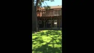 Ascending & Crown Cleaning a Giant 200 Year Old Oregon White Oak