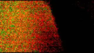 video paranormal real