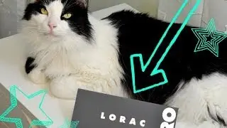 First Look: Lorac Pro Palette 2