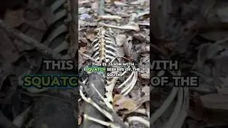 Bigfoot Investigation: Strange Track Bones & Broken Tree Mystery