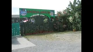 After escaped animals, 57 deaths in a year, 'UK's worst zoo' closes