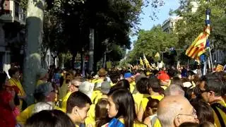 Diada 11 de Setembre 2014 - tram21