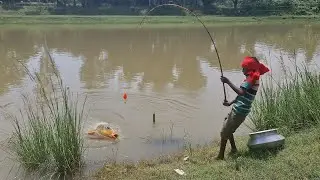 New Best Hook Fishing Video | Traditional Fish  Catch With Hook in River #fish