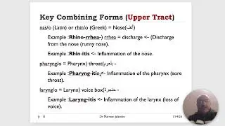 Medical Terminology   lecture 07