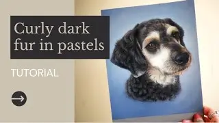 Curly Messy Fur Demo - How to draw curly dark fur in pastels