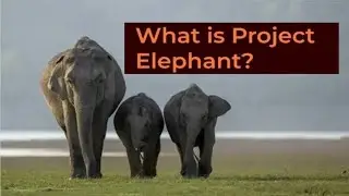 What is Project elephant?