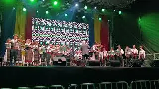 Orchestra de muzică populară 
