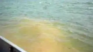 So Pesca - Capivari - 260807