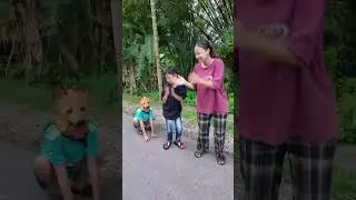 Con ch&oacute; t&agrave;i năng được nhận nu&ocirc;i - Talented dog adopted #shorts