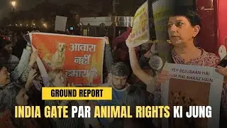 India Gate पर बवाल! Dog Ban के खिलाफ लोगों का फूटा गुस्सा | Animal Lovers का Protest LIVE
