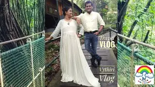 Vythiri Vlog | Chennai to Wayanad | Best honeymoon Destination | Tree house | Honeymoon pool villa 😍