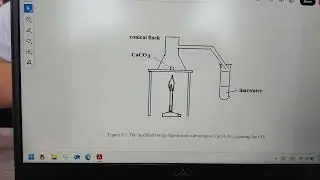 explanation about your progress report 2 - calcium looping