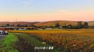Dazzling Fall Colors in California at Sonoma Wineries