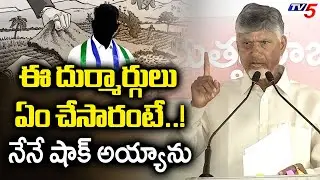 CM Chandrababu Naidu Sensational Comments | YCP Land Grabbing | YSRCP | AP Politics | TV5 News