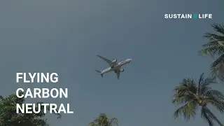 How can I fly carbon neutral? | Net Zero Basics