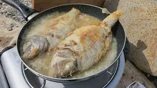 Tiverton Rhode Island  porgy fishing/delicious scup catch and cook!!!