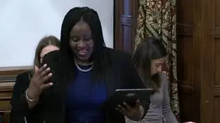 HoC - Westminster Hall Debate - Employment support for blind and partially sighted people 20/11/2024