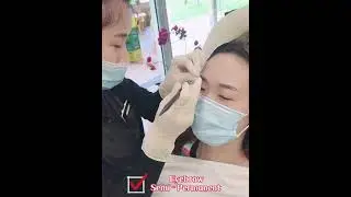 Eyebrow Semi Permanent makeup. Embroidery/ Microblading