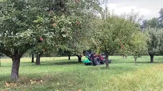 Obstschüttler in Action 🍏 | Baumrüttler Typ OS – Schnelle & Effiziente Obsterntemaschine