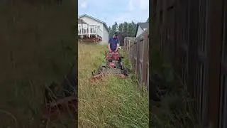 Satisfying video #asmr #satisfying #lawnmowingbusiness #roofing #lawncare #construction #cleaning