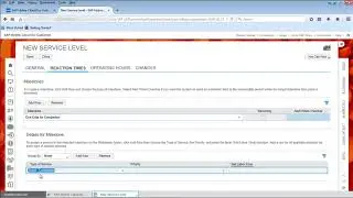 SAP C4C - Create a Service Level