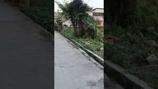 5 Katha Land for sale Beside North Bengal Medical College & Hospital, Medical More, Siliguri