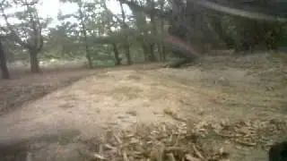 wormely jumps