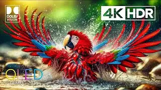 UNSEEN 8K Video - Dolby Vision 8K HDR 120 FPS Video (4K / 8K TV) | 4K VIDEO ULTRA HD | 8K ULTRA HD