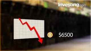 Pantera Capital Management утверждает, что биткоин оттолкнулся от минимума